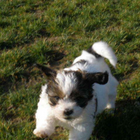 Photo de profil de Flapy