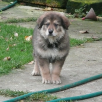 Photo de profil de Elliot