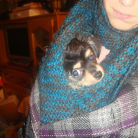 Photo de profil de Lilo