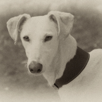 Photo de profil de Gaïa