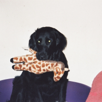 Photo de profil de Philo