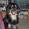 Photo de Aaricia