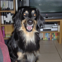 Photo de profil de Aaricia