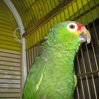 Photo de profil de Kiwi