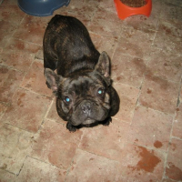 Photo de profil de Calsyfer