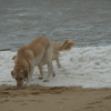 Photo de Venus
