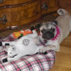 Photo de Candy