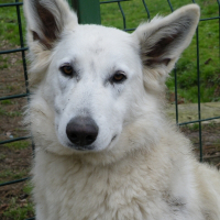 Photo de profil de D'joy
