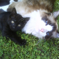 Photo de profil de Cochise & eddi