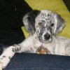 Photo de Eros