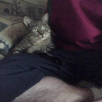 Photo de profil de Minet
