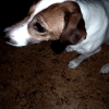 Photo de Bulle