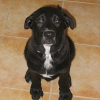 Photo de profil de Sam