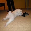 Photo de Yuki