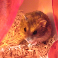 Photo de profil de Grain de sel