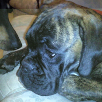 Photo de profil de Enzy