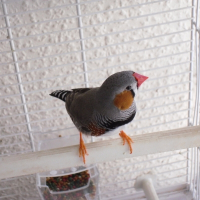 Photo de profil de Monsieur pouet