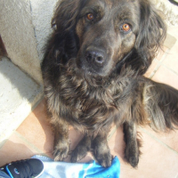Photo de profil de Belouga