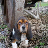 Photo de profil de Eden