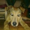 Photo de Fidjie
