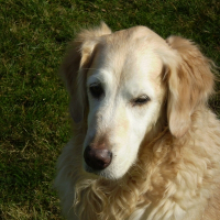 Photo de profil de Alaska