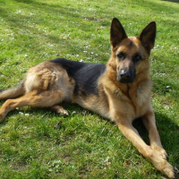 Photo de profil de Baika