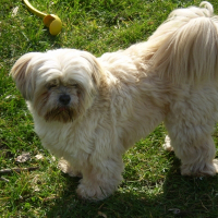 Photo de profil de Valoris