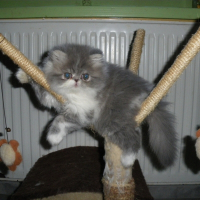 Photo de profil de élyne