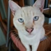 Photo de Boby