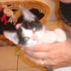Photo de Mooky