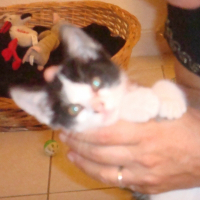 Photo de profil de Mooky