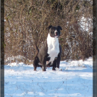 Photo de profil de Luna