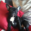 Photo de Elfy 