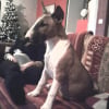 Photo de Bouba