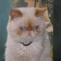 Photo de profil de Bridge