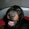 Photo de Apollon