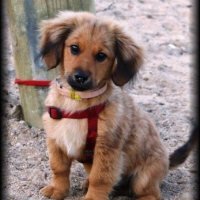 Photo de profil de Paco