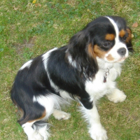 Photo de profil de Liloo