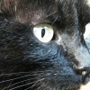 Photo de Moumoune