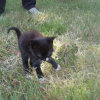 Photo de profil de .