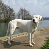 Photo de profil de Kronos