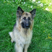 Photo de profil de Morgane