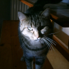 Photo de Lolita