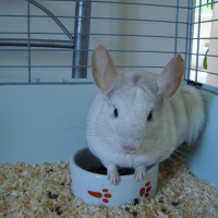Photo de profil de Aelyn