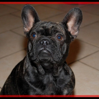 Photo de profil de Caraïbe