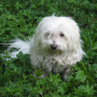 Photo de profil de Gwoindoline
