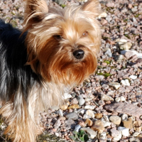 Photo de profil de Bïanka