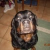 Photo de Doc