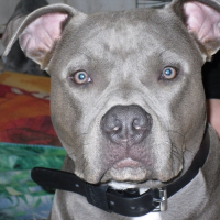 Photo de profil de Enzo