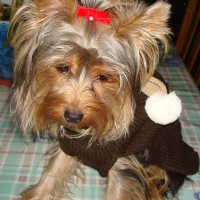 Photo de profil de Elia